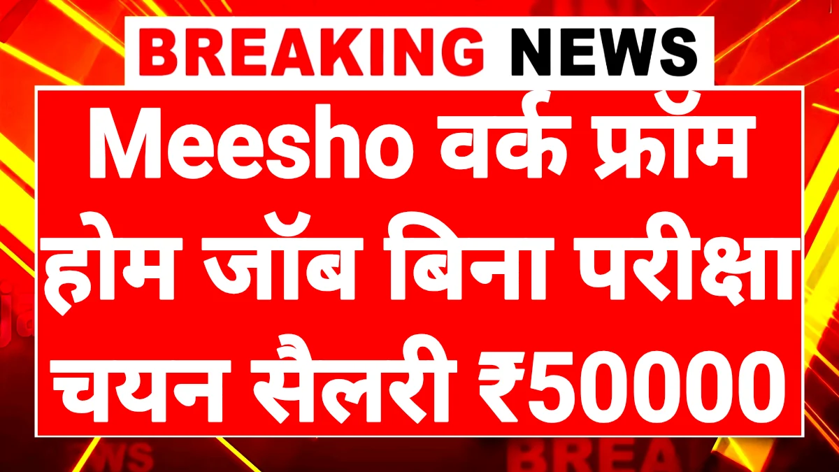Meesho Work From Home 2026